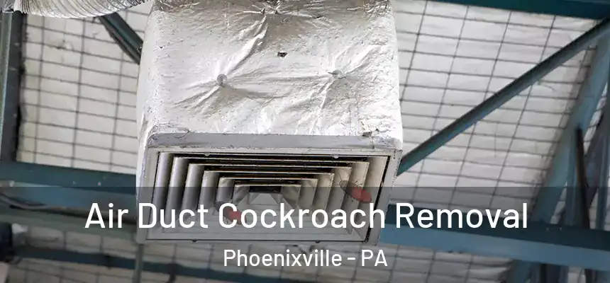  Air Duct Cockroach Removal Phoenixville - PA