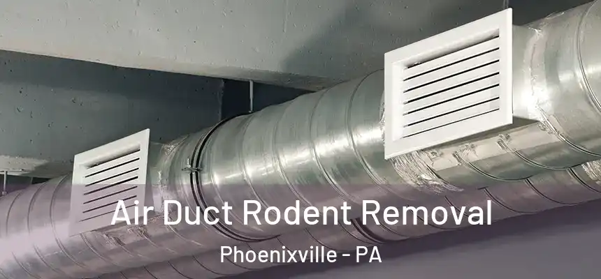  Air Duct Rodent Removal Phoenixville - PA