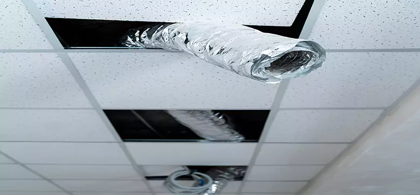 Our Air Duct Pet Hair Removal Services in Phoenixville, PA