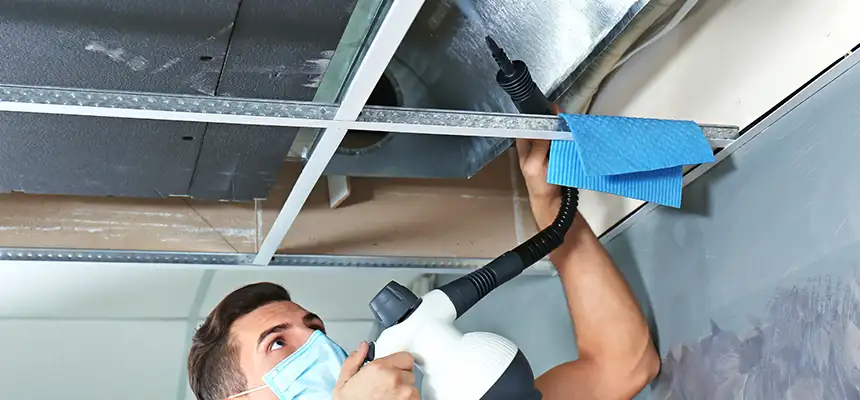 Our Air Duct Rodent Removal Services in Phoenixville, PA