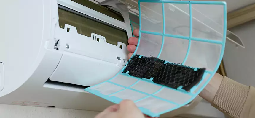 Gentle Ductwork Odor-Control Pet Dander Duct Cleaning in Phoenixville, PA