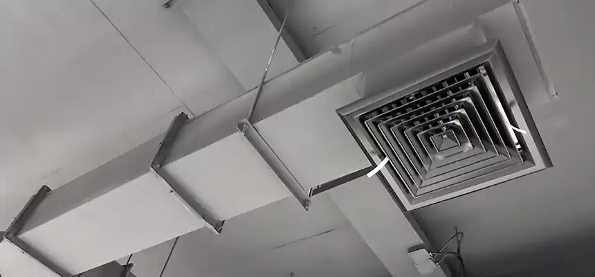 Our Rodent Droppings In Vents Services in Phoenixville, PA