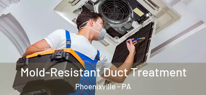  Mold-Resistant Duct Treatment Phoenixville - PA