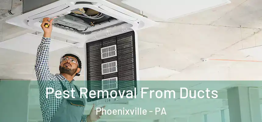  Pest Removal From Ducts Phoenixville - PA