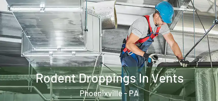  Rodent Droppings In Vents Phoenixville - PA