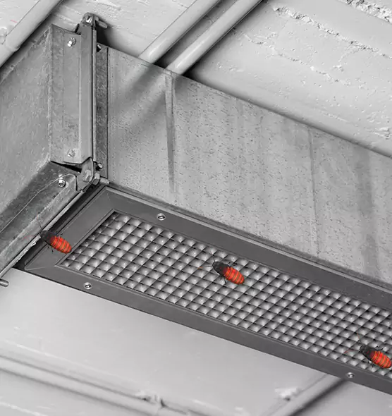 About Air Duct Cockroach Removal in Phoenixville, PA