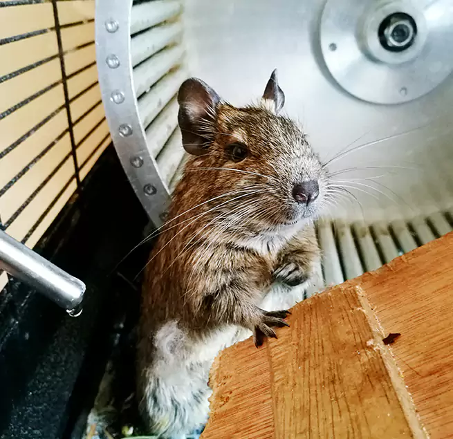 Why Homeowners & Businesses Trust Us Phoenixville, PA