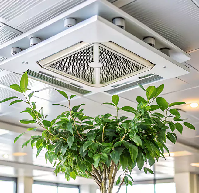 Why Homeowners & Businesses Trust Us in Phoenixville, PA?