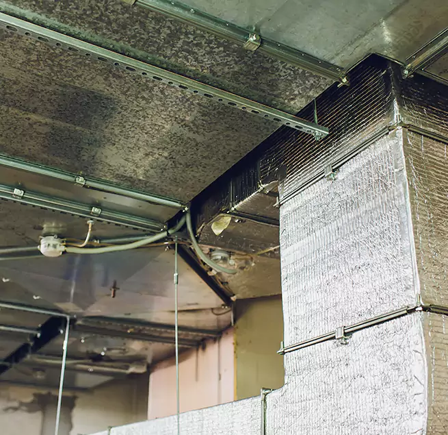 Why Homeowners & Businesses Trust Us in Phoenixville, PA?